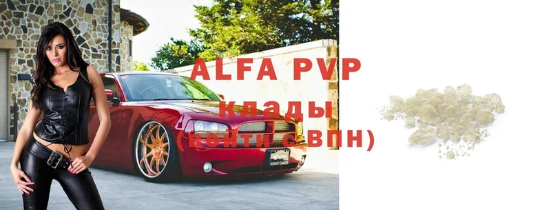 как найти   Светлогорск  кракен ссылки  Alfa_PVP крисы CK 