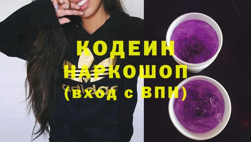 купить наркоту  Светлогорск  Codein Purple Drank 